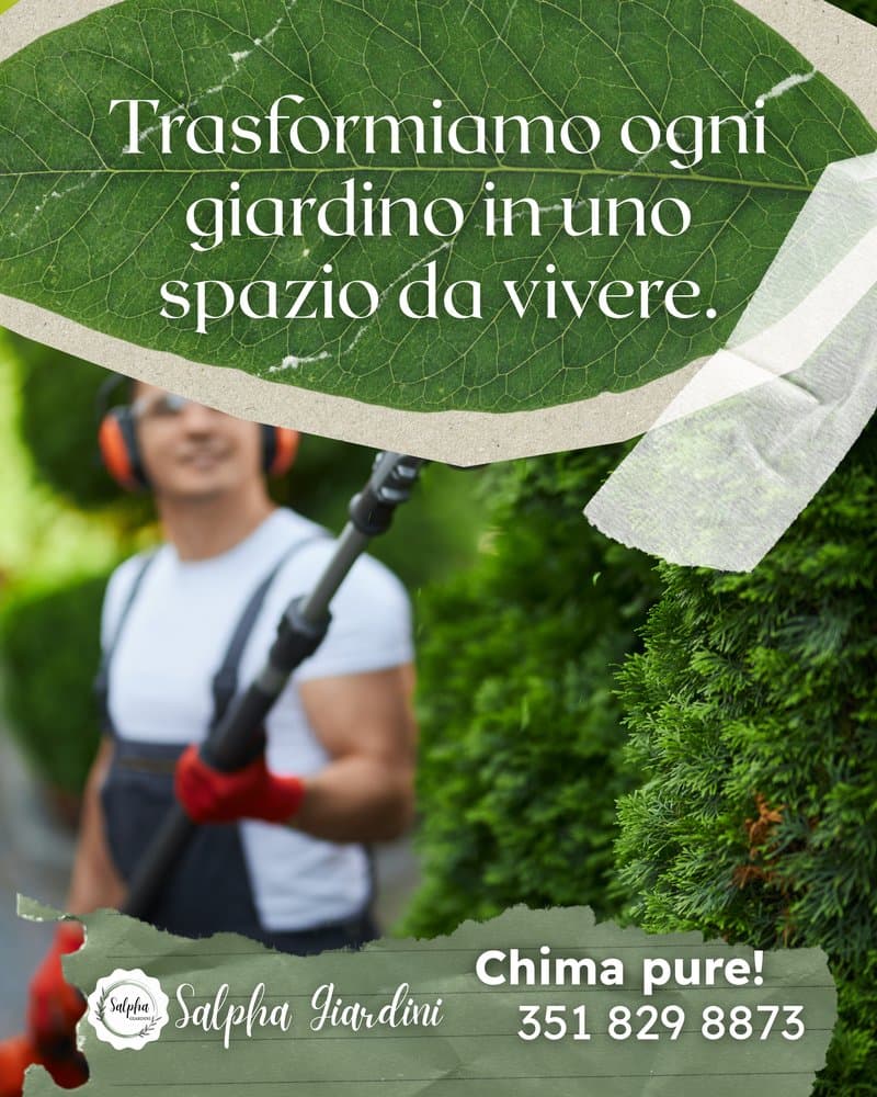 @salphagiardini post 1