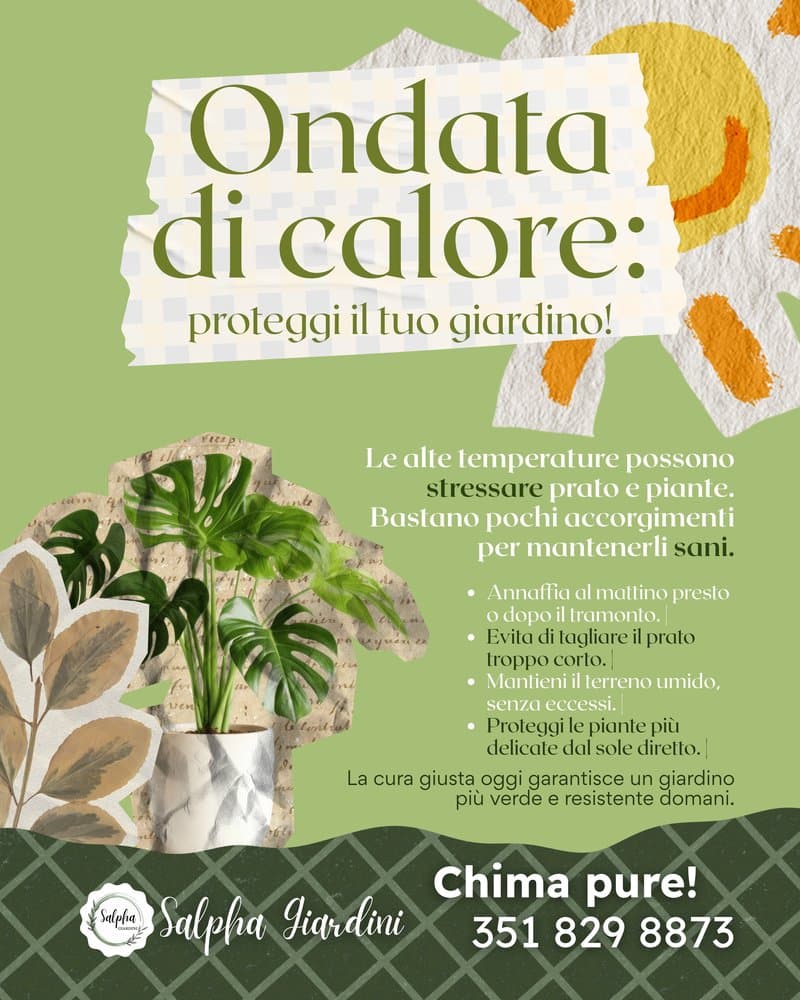 @salphagiardini post 3